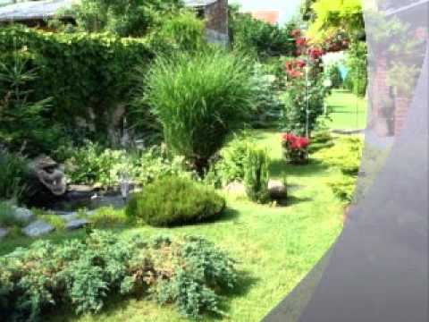 Stari prijatelji - Lepi je vrtić ograjen