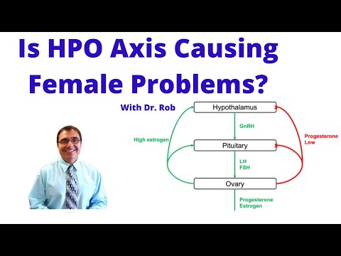 Is HPO Axis Causing Female Problems?