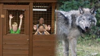 Children Caged to Protect Them from Fantasy Wolf Attacks