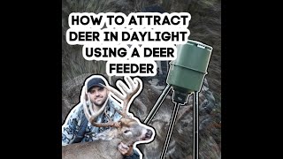 HOW TO ATTRACT DEER DURING THE DAYLIGHT USING A FEEDER !!! HUNT BIG BUCKS !!!