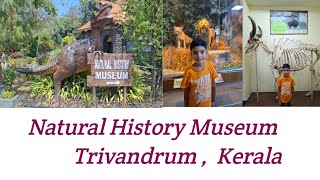 Natural History Museum, Trivandrum, Kerala ll Places to visit in Trivandrum #trivandrumdiaries