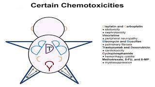 chemotherapeutic agents-2