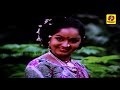 Ye Pulla Rosapoo Video Song Tamil Adhisaya Piravigal S P Balasubrahmanyam Vani Jairam
