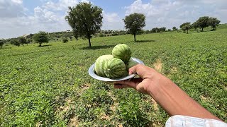 TIMELAPSE :  Building My Daily Life - Life in a Village Farm