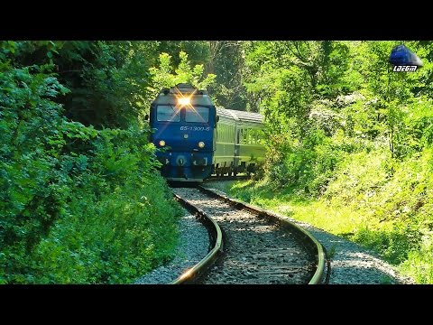 Horns Show By Regina Bihorului - Jimmy 65-1300-6 in Defileul Crisului Repede`s Canyon 01 August 2015