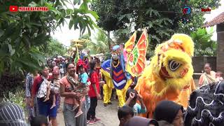 Download lagu 011 NGARAK WARU DOYONG BUROK MEKAR GAYA MUDA LIVE MAYAG 14 NOV 2021 mp3