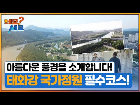 [네모세모] 태화강 국가정원 필수코스!