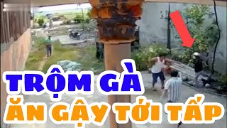 Tr.ộm gà bị gia chủ phát hiện, cái kết ăn cây không trượt phát nào!