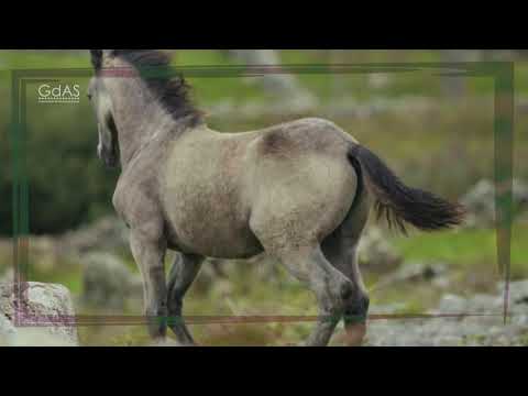 Das Bittgebet zum Freitag