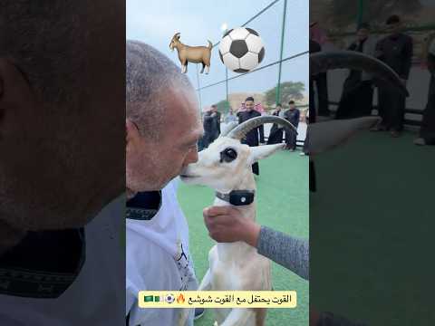 الأسطورة شوشع يصنع الحدث التأريخي في السعودية 😱😱#football #المغرب #sports #السعودية #brasil #مصر