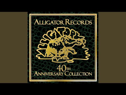 The Sun Is Shining Down