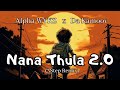 Alpha WYKZ x Da Kamoov - Nana Thula 2.0 (3Step Remix)