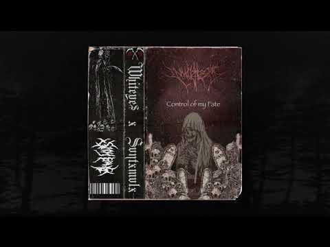 WHITEYE$ x SVNTXMVLX - CONTROL OF MY FATE [ Prod. WHITEYE$ ] (MEMPHIS 66.6 EXCLUSIVE)