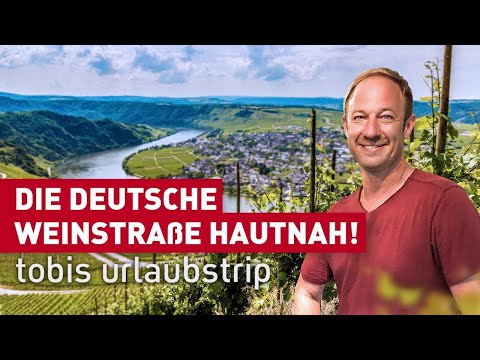 The German Wine Route up close! | Tobi's vacation trip | experience hesse | documentary | to travel