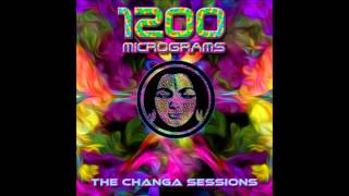 1200 Micrograms - The Next Dimension