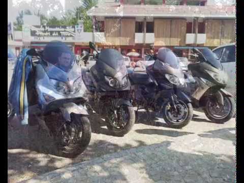 Chi pecora si fa, lupo se la mangia.. e noi se la magnamo! wmv