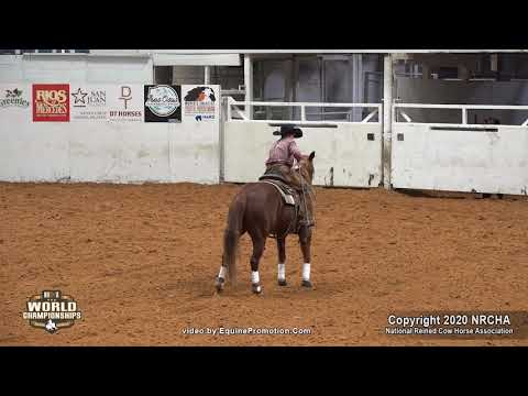 Wheeling Kinda Kitty ridden by Caden Allen  - 2020 Celebration of Champions (Youth Ltd., Prelims)