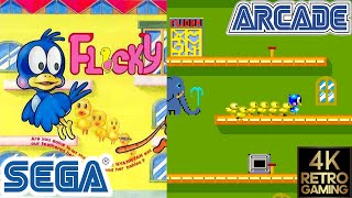 Flicky Arcade (Sega 1984) 4k Longplay