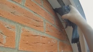 Добрые дела, которые останутся в нашем сердце! Достойны уважения