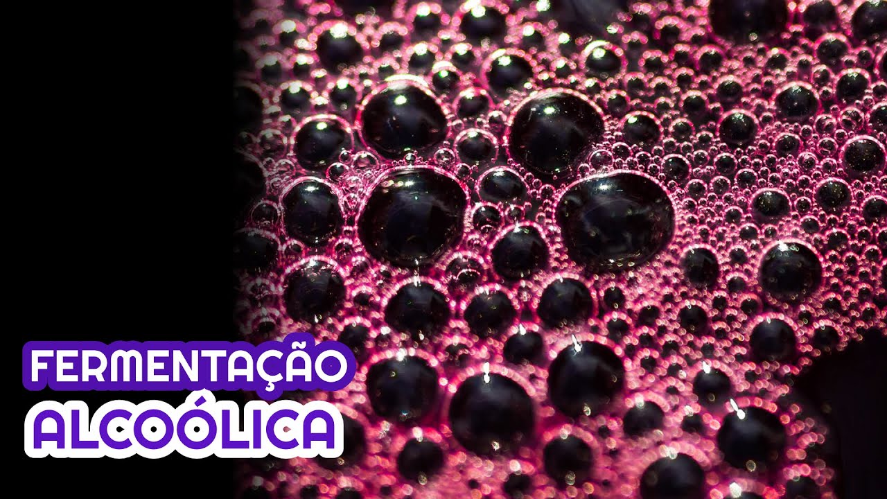 A fermentação alcoólica na fabricação de vinho artesanal