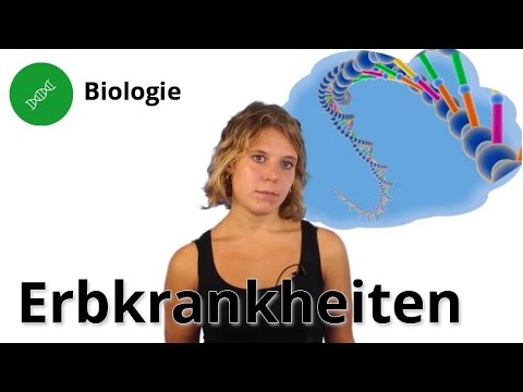 Erbkrankheiten: Das musst du wissen! – Biologie | Duden Learnattack