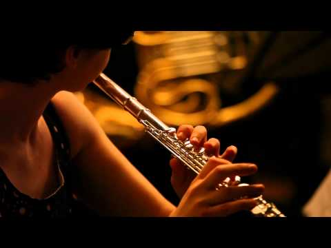 FONETIC QUINTET - VASILE JIANU --DIVERTISMENT RUSTIC- PARTEA II.mp4