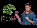 How Acidic Is The Xenomorph Blood From ALIEN Because Science W Kyle Hill