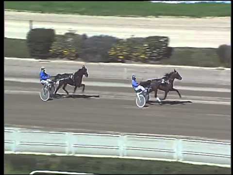 \Trotto 29/03/2015 - 1° prova di qualifica