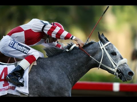 BATALLADORA - Copa Dama Del Caribe 2006