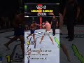Top 5 Chicken Dances In UFC Ufc Top5 Chicken Dance Funny Mma