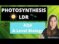 PHOTOSYNTHESIS -Light Dependent Reaction:A-level Biology. Photolysis, photoionisation & chemiosmosis