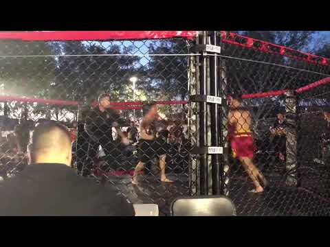 Caged Muay Thai?