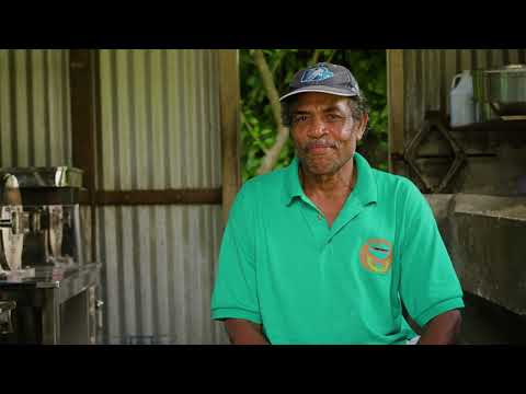 INDIGENOUS ORIGINS Part 3: Cassava &amp; the Kalinago (Dominica)