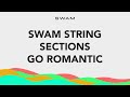 Video 4: Romantic Orchestral Arrangement
