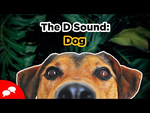 English Pronunciation | The D Sound: Dog