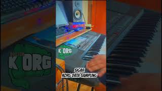 Download lagu STYLE SIGAR | KORG DATA SAMPLING | CK mp3