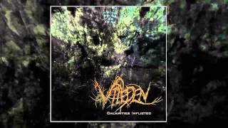 Viieden - Impalement Upon Creation (Technical Brutal Death Metal 2012)