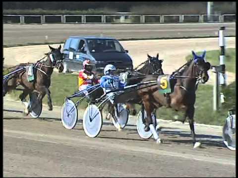 Trotto 01/03/2015 - 1° corsa