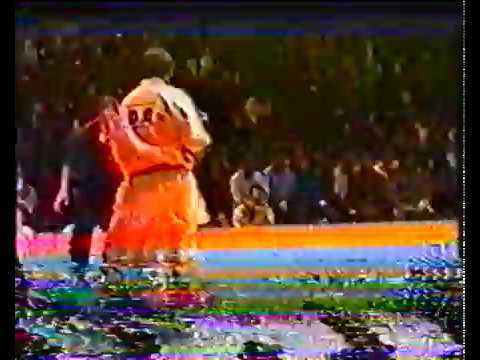 KyokuShinKai 5th world championship 1991 (user version) part1)