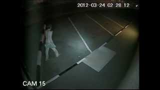 preview picture of video 'CCTV Vandalism in Tzaneen'