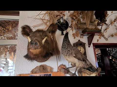 Cabana de vânătoare ale lui Ceaușescu | Locul preferat de vânătoare al lui Ceauşescu