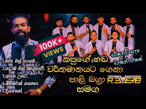Pali Bagra | Bandaragama Reverb | කපුගේ හඬ නැවතත් | වල්පොල දී දුන්න සැප බැකින් එක 2025