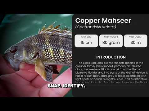 AI Fish Identifier & Catch Log video thumbnail