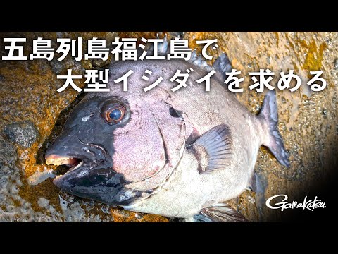 【G WORLD】 #10 五島列島福江島で大型イシダイを求める