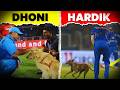 Animal Enters Cricket Ground You Missed On TV TFV Cricket