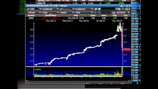 How To Short Sell Penny Stocks: Tim Sykes Makes $5k In 30 Minutes