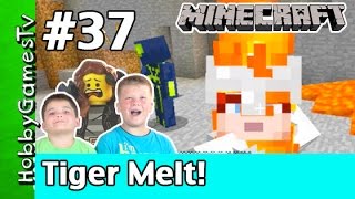 Minecraft Trixie 37 Tiger Melt Lava Hazard by HobbyGamesTV