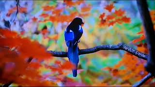 The Whitefield Brothers - "Alin"