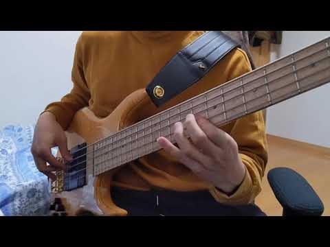 Havona 2018 Bass Solo Cover / Evan Marien