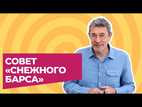 Совет «снежного барса»